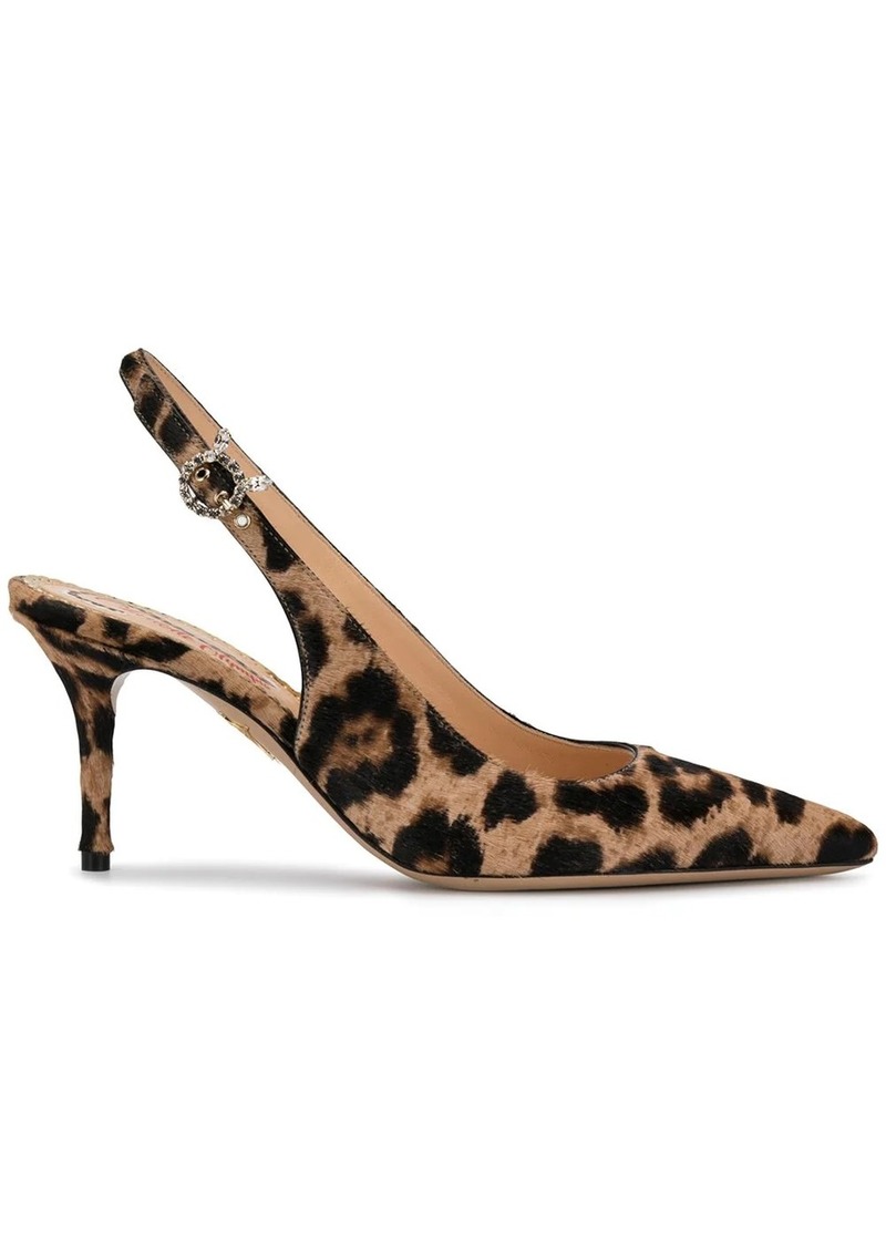 leopard print pumps shoes