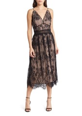 Chelsea28 Lace Overlay Dress