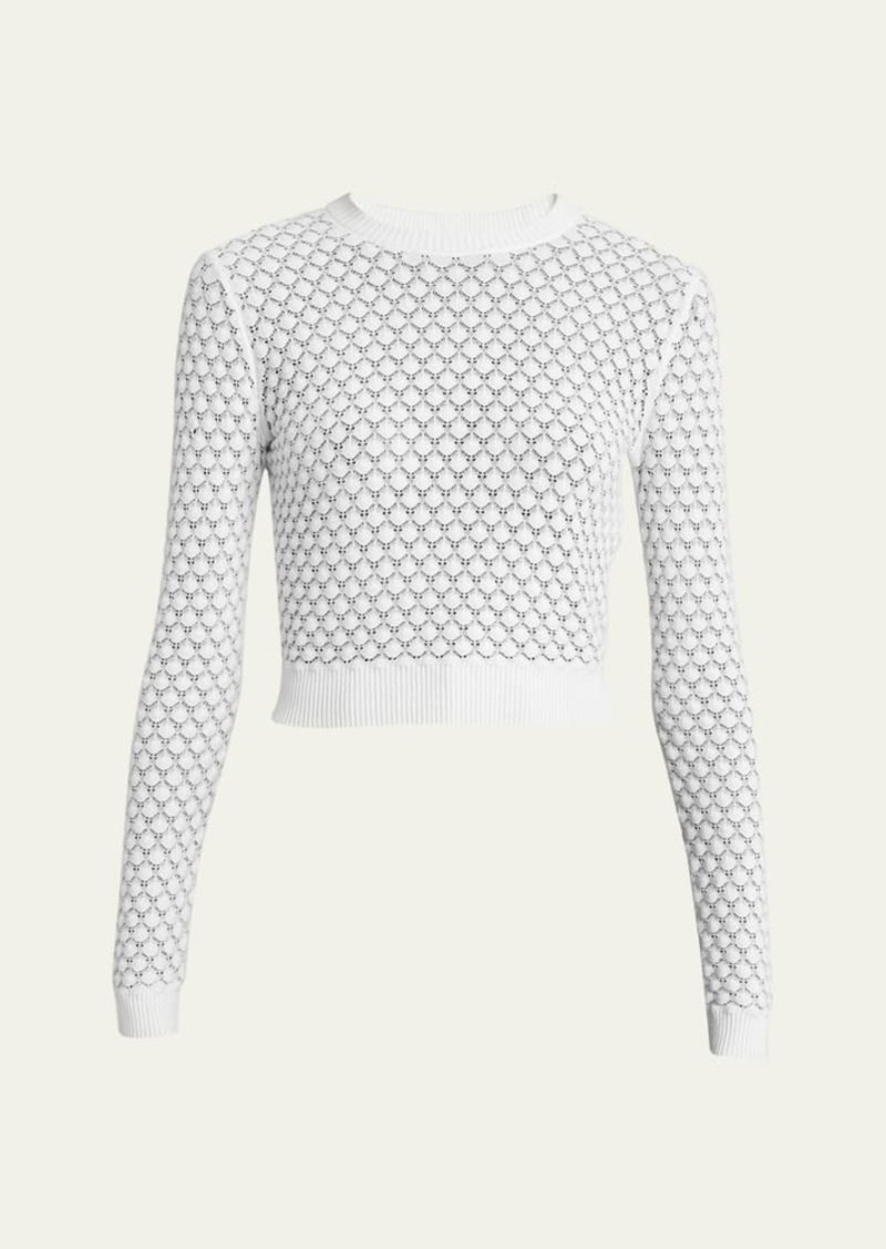 Chloé Chloe Pointelle Knit Cropped Crew Neck Sweater