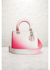 Christian Dior Dior Lady Handbag