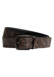 Coach Wide Harness CTS Belt