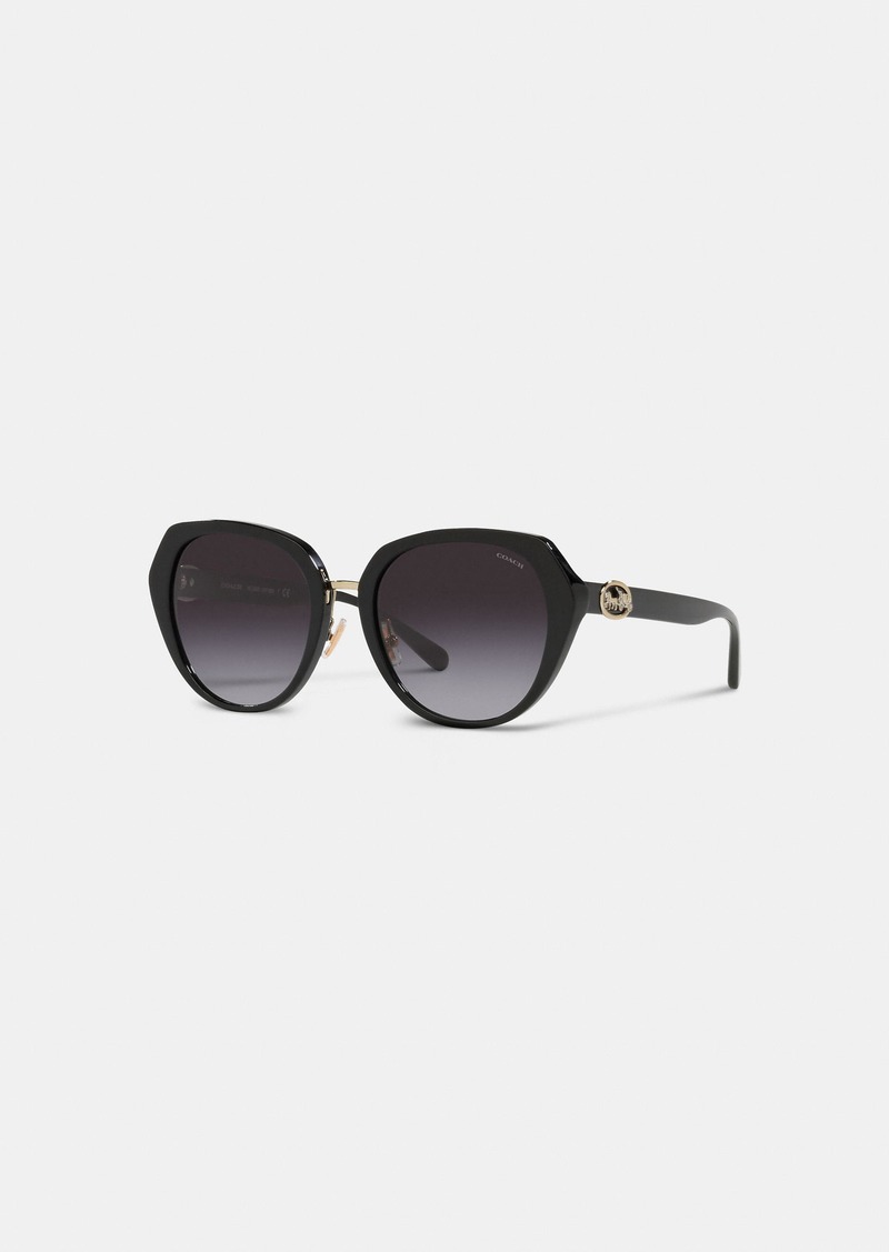 Coach Horse And Carriage Oversized Round Sunglasses
