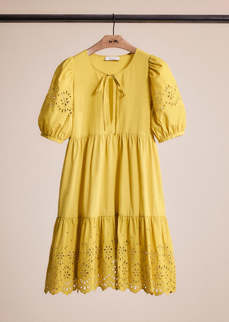 Coach Restored Broderie Anglaise Puff Sleeve Dress In Organic Cotton