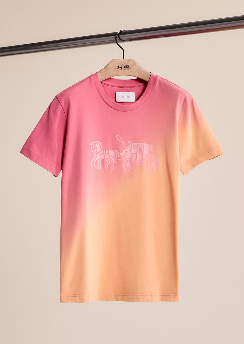 Coach Restored Ombre Horse And Carriage T Shirt In Organic Cotton