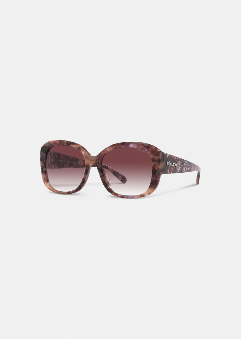 Coach Signature Oversized Square Sunglasses