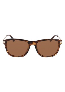 Cole Haan 55mm Square Sunglasses in Tortoise at Nordstrom Rack