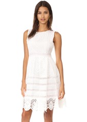 cupcakes and cashmere Women's Summers Lace Fit N Flare Dress
