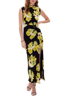 Diane von Furstenberg Apollo Floral Sleeveless Mesh Dress