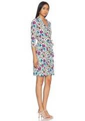 Diane von Furstenberg Jeanne Dress