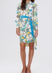 Diane von Furstenberg Prita Mixed Print Long Sleeve High-Low Shirtdress