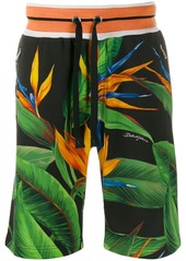 Dolce & Gabbana Bird Of Paradise bermuda shorts