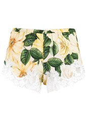 Dolce & Gabbana camellia-print lace detail shorts
