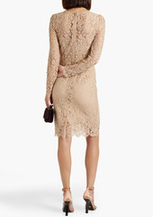 Dolce & Gabbana - Cotton-blend corded lace dress - Neutral - IT 42