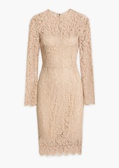 Dolce & Gabbana - Cotton-blend corded lace dress - Neutral - IT 42