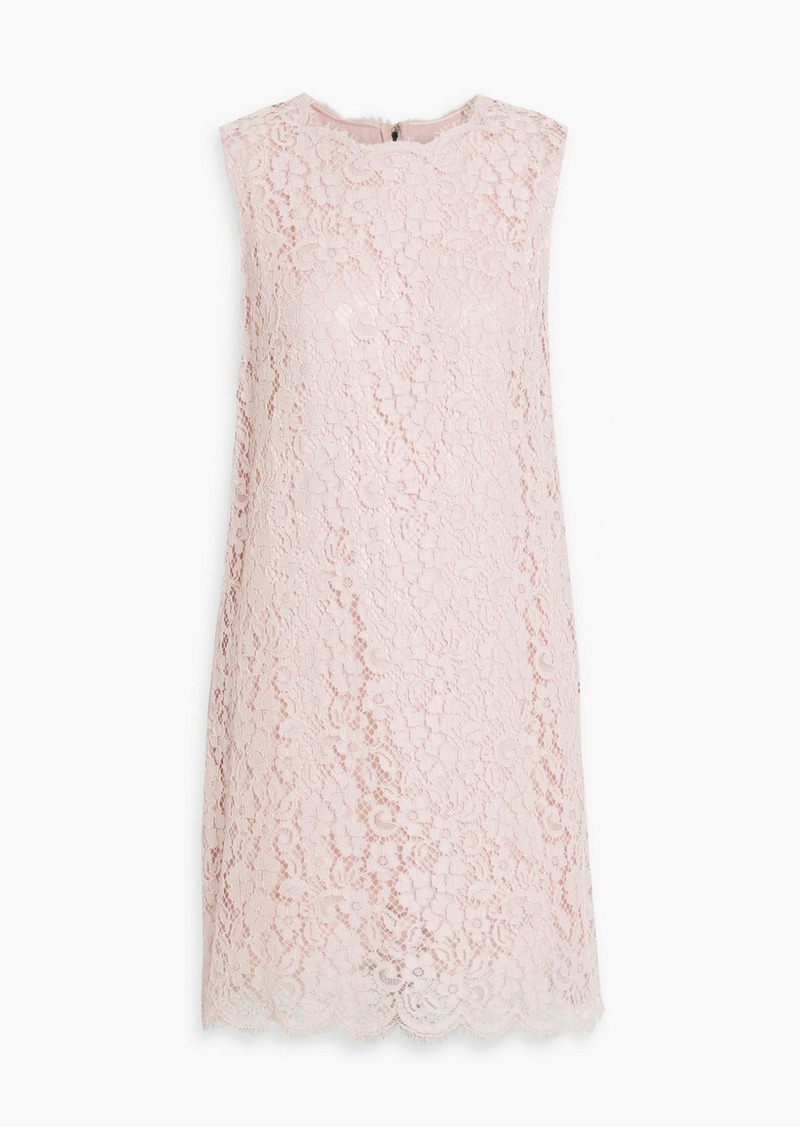 Dolce & Gabbana - Cotton-blend corded lace mini dress - Pink - IT 48