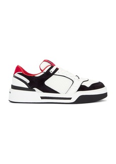 Dolce & Gabbana Crosta Mino Sneaker