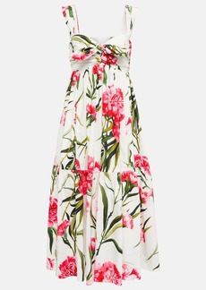 Dolce & Gabbana Floral cotton poplin midi dress