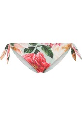 Dolce & Gabbana Camellia floral-print bikini briefs
