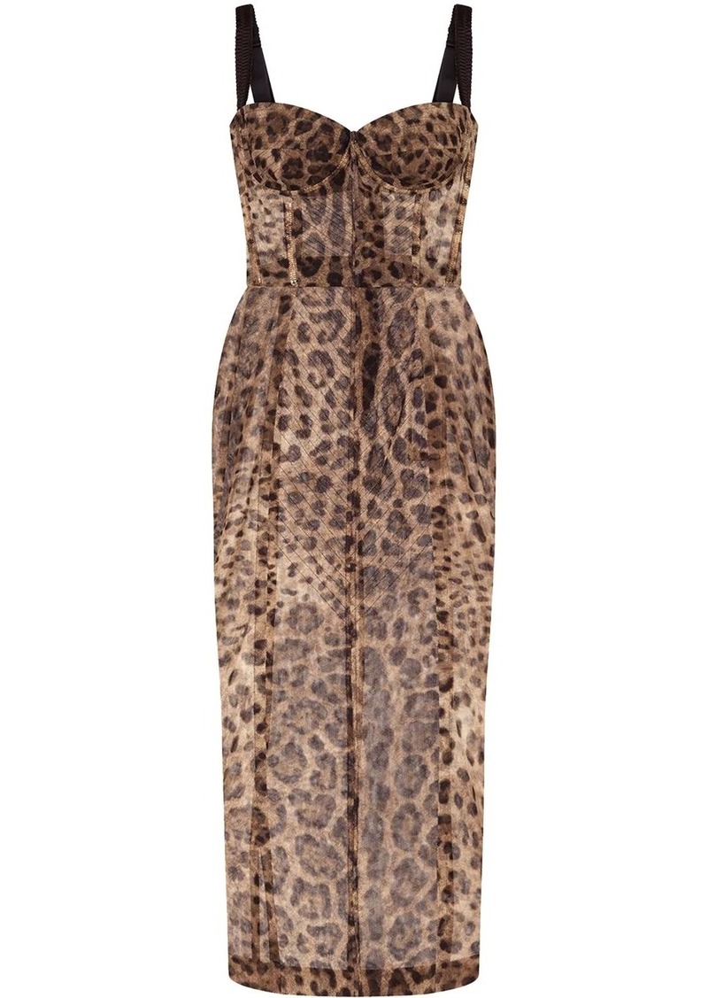 Dolce & Gabbana leopard-print bustier midi dress