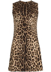 Dolce & Gabbana leopard shift mini dress