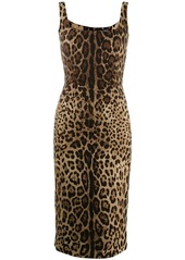 Dolce & Gabbana leopard-print midi dress