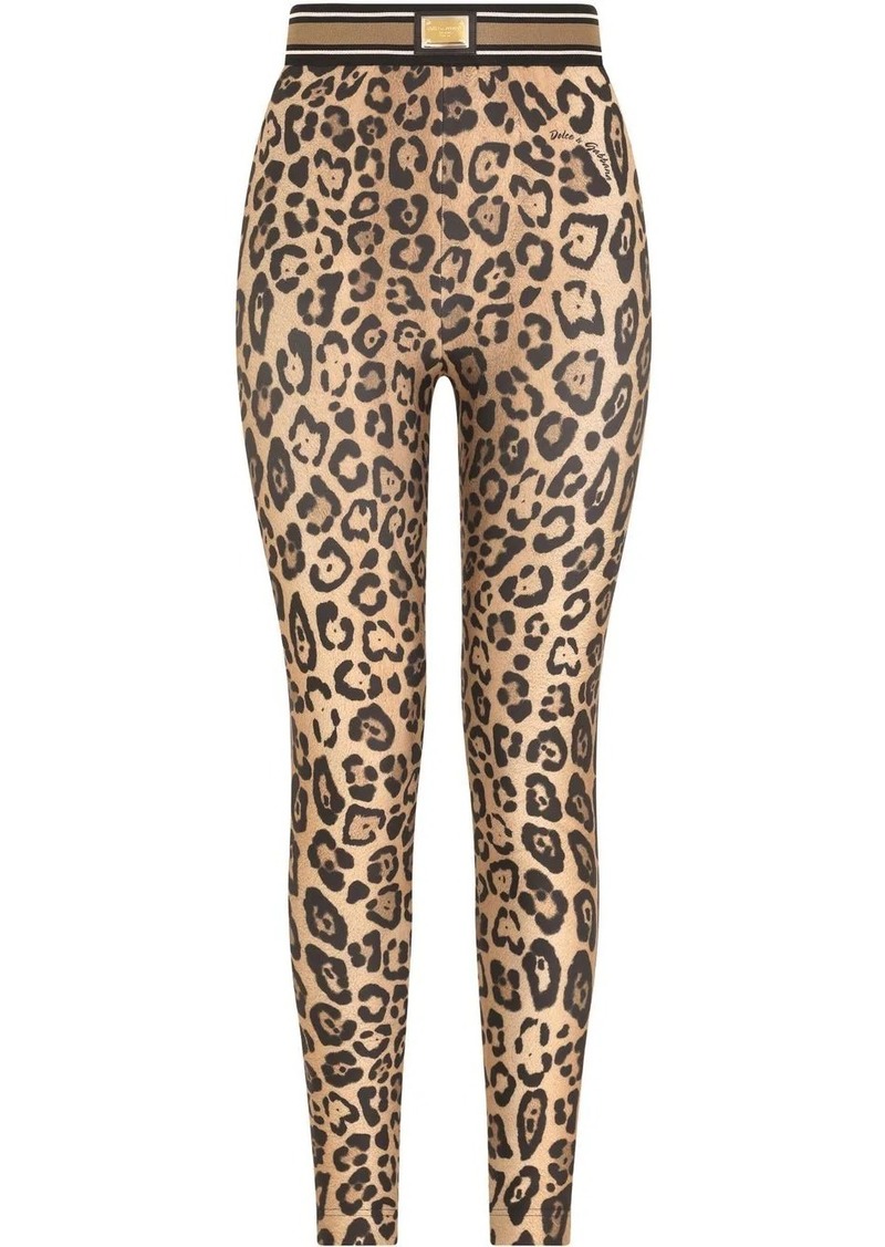 Dolce & Gabbana leopard-print jersey leggings