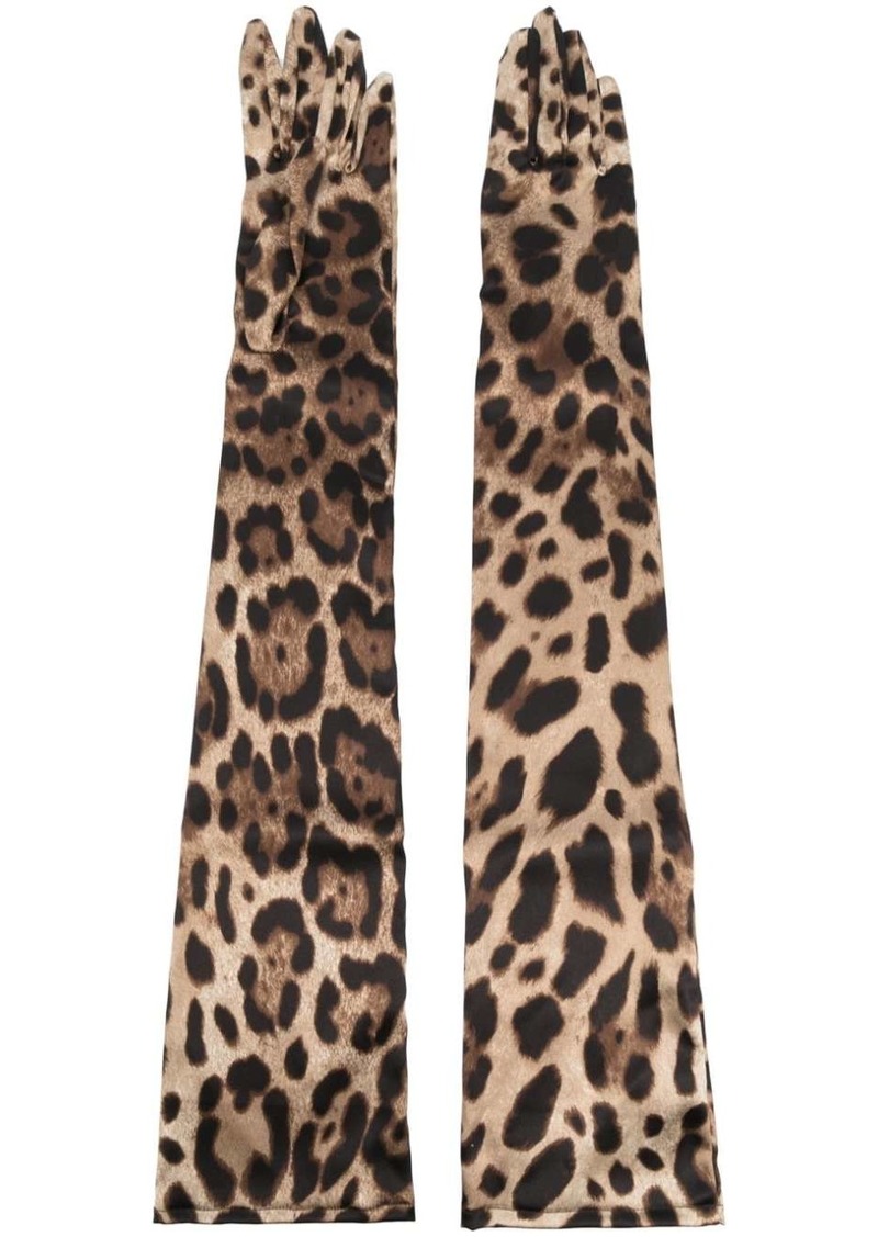 Dolce & Gabbana leopard-print long gloves