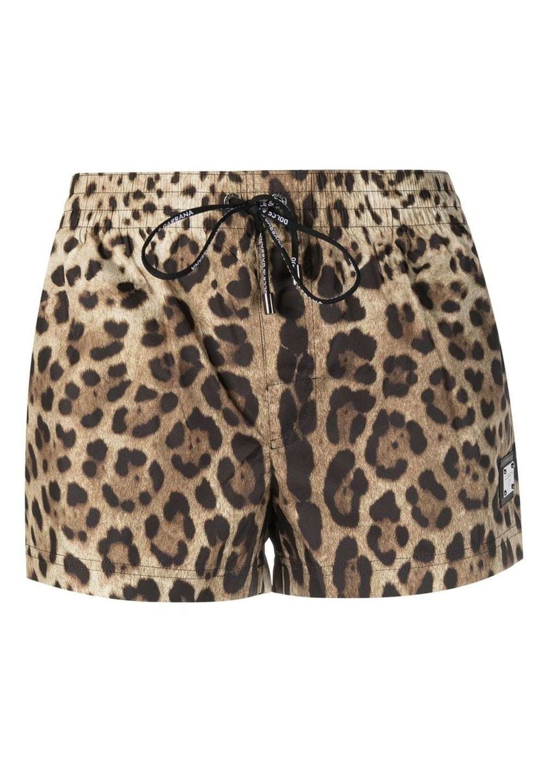 Dolce & Gabbana leopard-print mini shorts