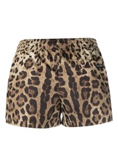 Dolce & Gabbana leopard-print mini shorts