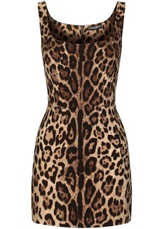 Dolce & Gabbana leopard-print sleeveless minidress