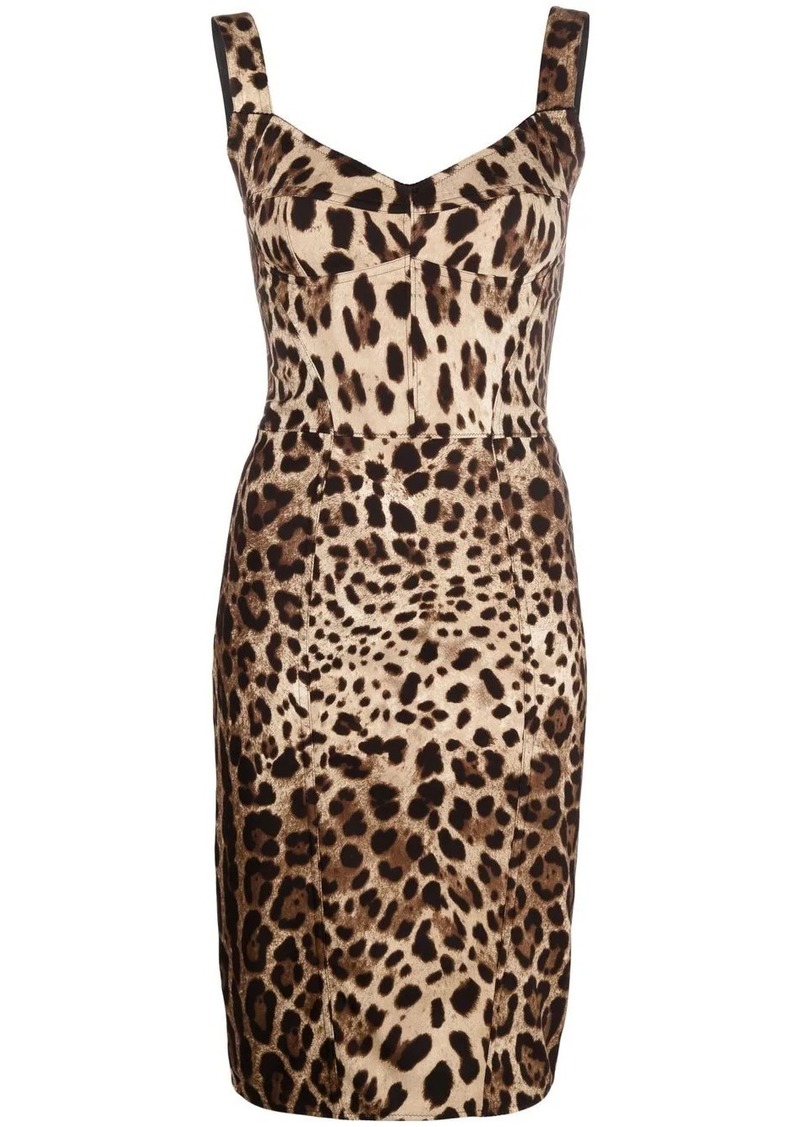 Dolce & Gabbana leopard-print corset midi dress