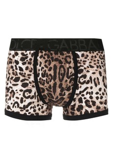 Dolce & Gabbana leopard-print stretch-cotton boxers