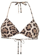 Dolce & Gabbana leopard-print triangle bikini top