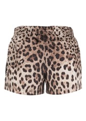 Dolce & Gabbana logo-plaque leopard-print swim shorts