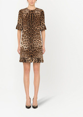 Dolce & Gabbana leopard-print ruffle-trim minidress