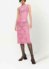 Dolce & Gabbana floral-lace midi dress