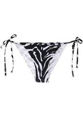 Dolce & Gabbana zebra-print bikini bottom
