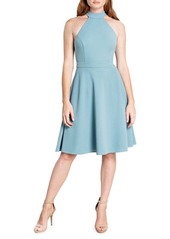 Dress the Population Paulina Fit & Flare Dress