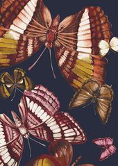 Echo Silk Dancing Butterflies Print Scarf