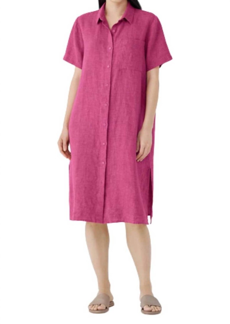 Eileen Fisher Classic Collar Shirtdress In Geranium