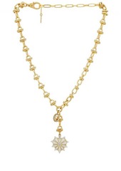 Elizabeth Cole Melina Necklace