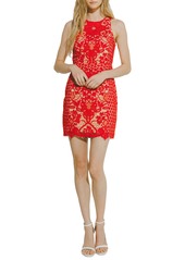Endless Rose Sleeveless Lace Sheath Dress in Red at Nordstrom