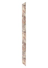 Etro Reversible Leopard & Paisley Silk Skinny Scarf in White at Nordstrom