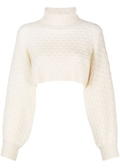 Fabiana Filippi roll-neck cashmere cropped jumper