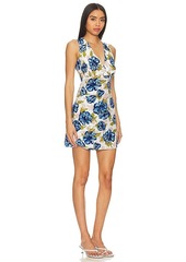 FAITHFULL THE BRAND Penne Mini Dress