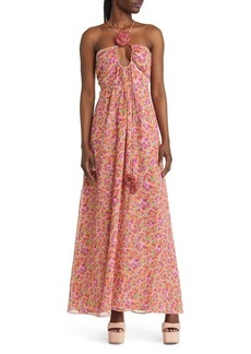 For Love & Lemons Suzette Floral Chiffon Maxi Dress in Pink at Nordstrom