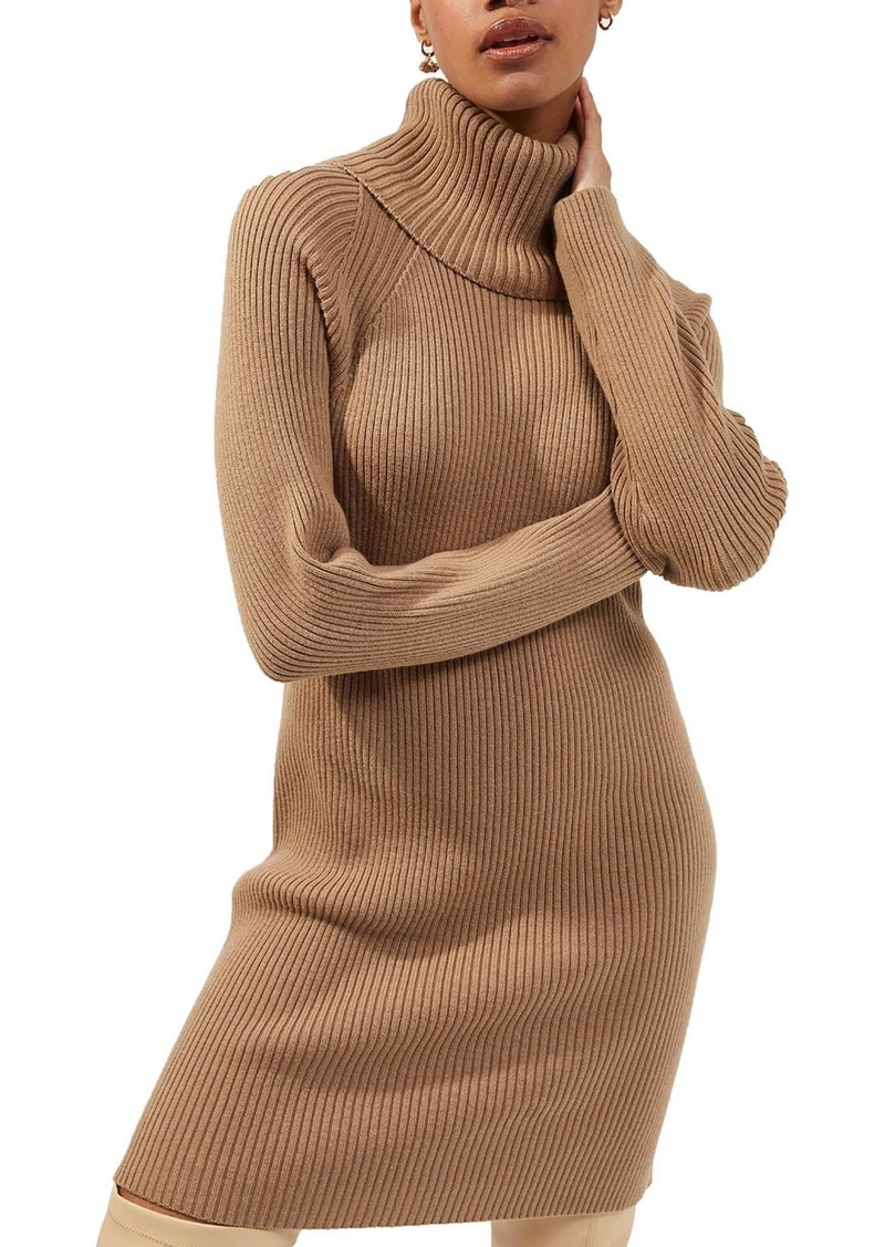 French Connection Womens Knit Turtleneck Sweaterdress