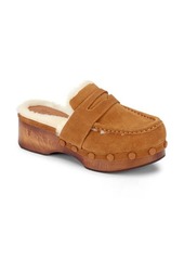 Frye Melody Genuine Shearling Lined Platform Clog in Walnut - Silky Suede Leather at Nordstrom
