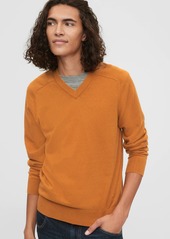 Gap Cashmere V-Neck Sweater