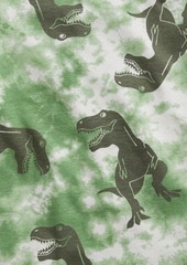 Gap Kids 100% Organic Cotton Tie-Dye Dinosaur Graphic PJ Set